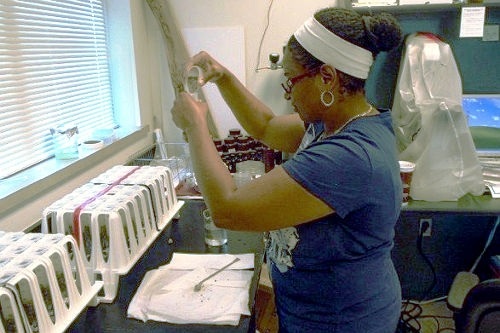 Microbiology lab